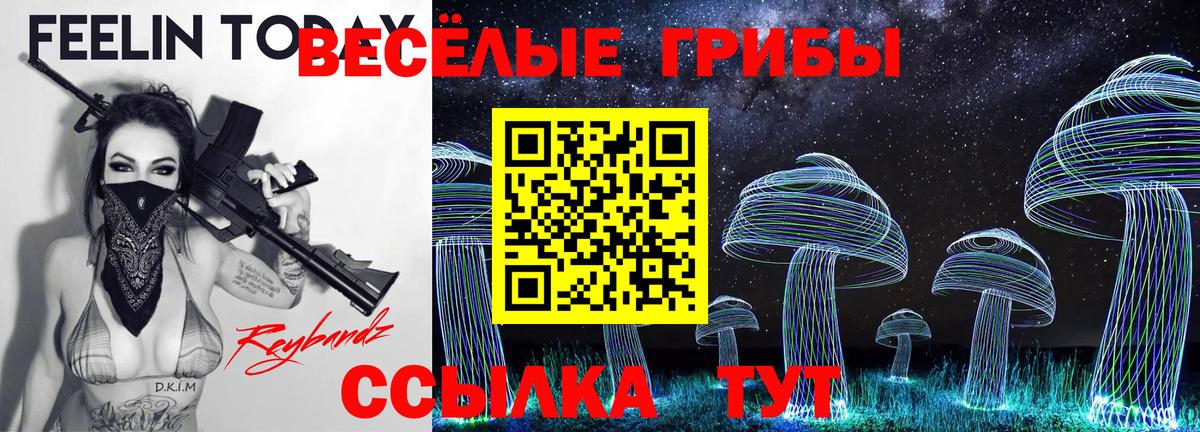 Уссурийск  Псилоцибиновые грибы Cubensis  Вход с VPN  Псилоцибиновые грибы GOLDEN TEACHER 