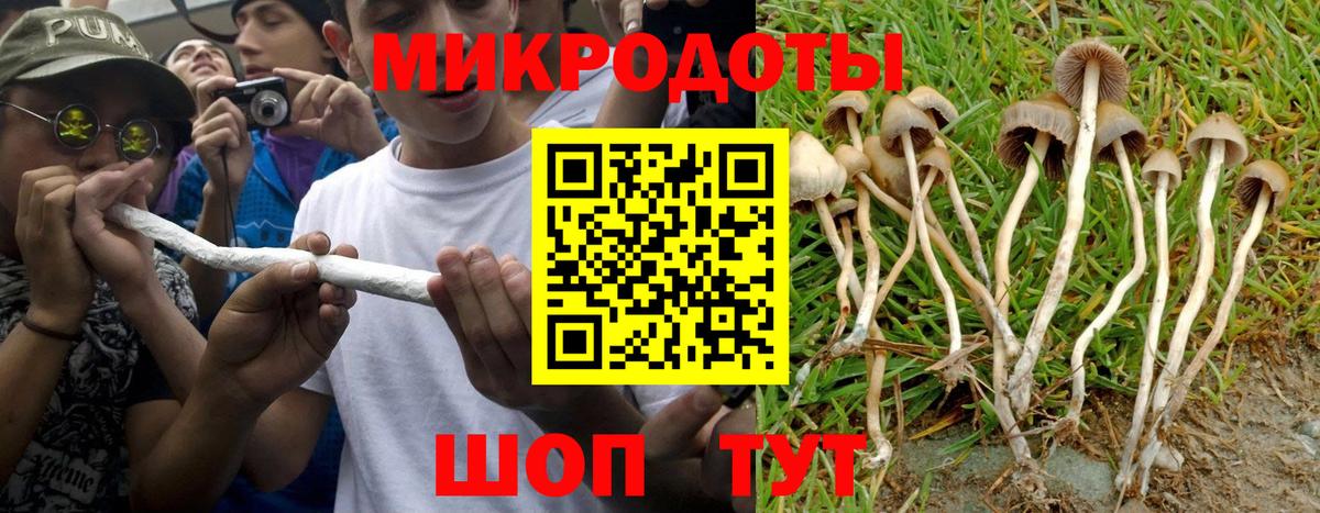 Галлюциногенные грибы Cubensis Уссурийск